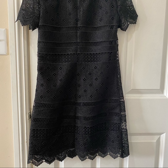 NWT Zara Black Lace Collared Shift A Line Dress XS - Picture 9 of 14